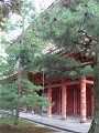 Kyoto Imamiya Jinja